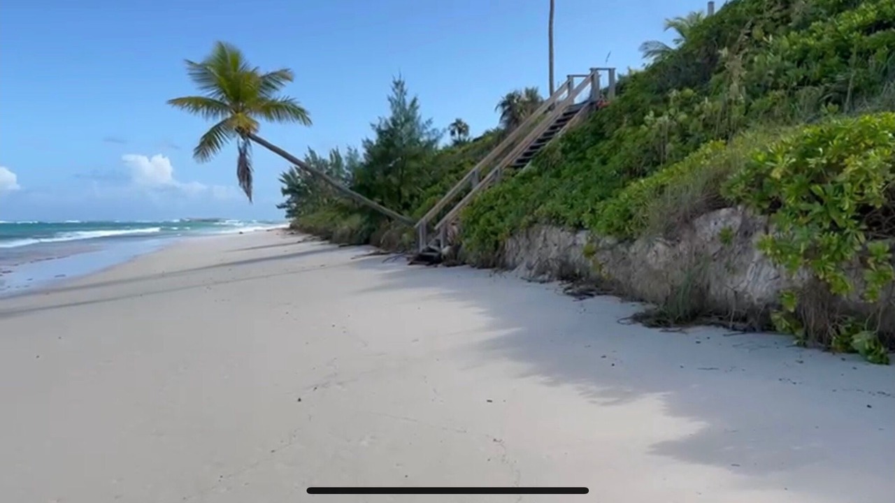 Photo of Others in North Palmetto Point