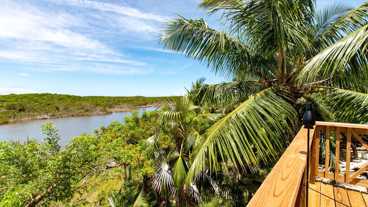Photo of Others in North Palmetto Point