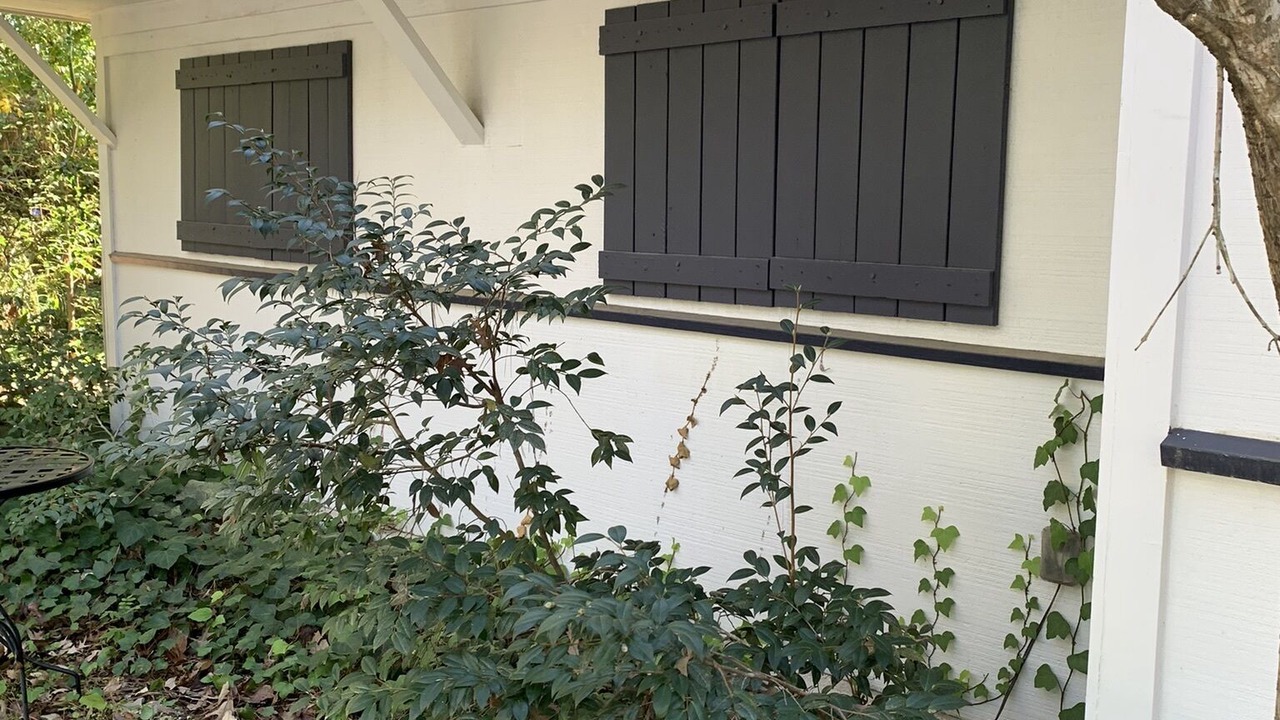 Photo of Outdoor in Summerville Historic District
