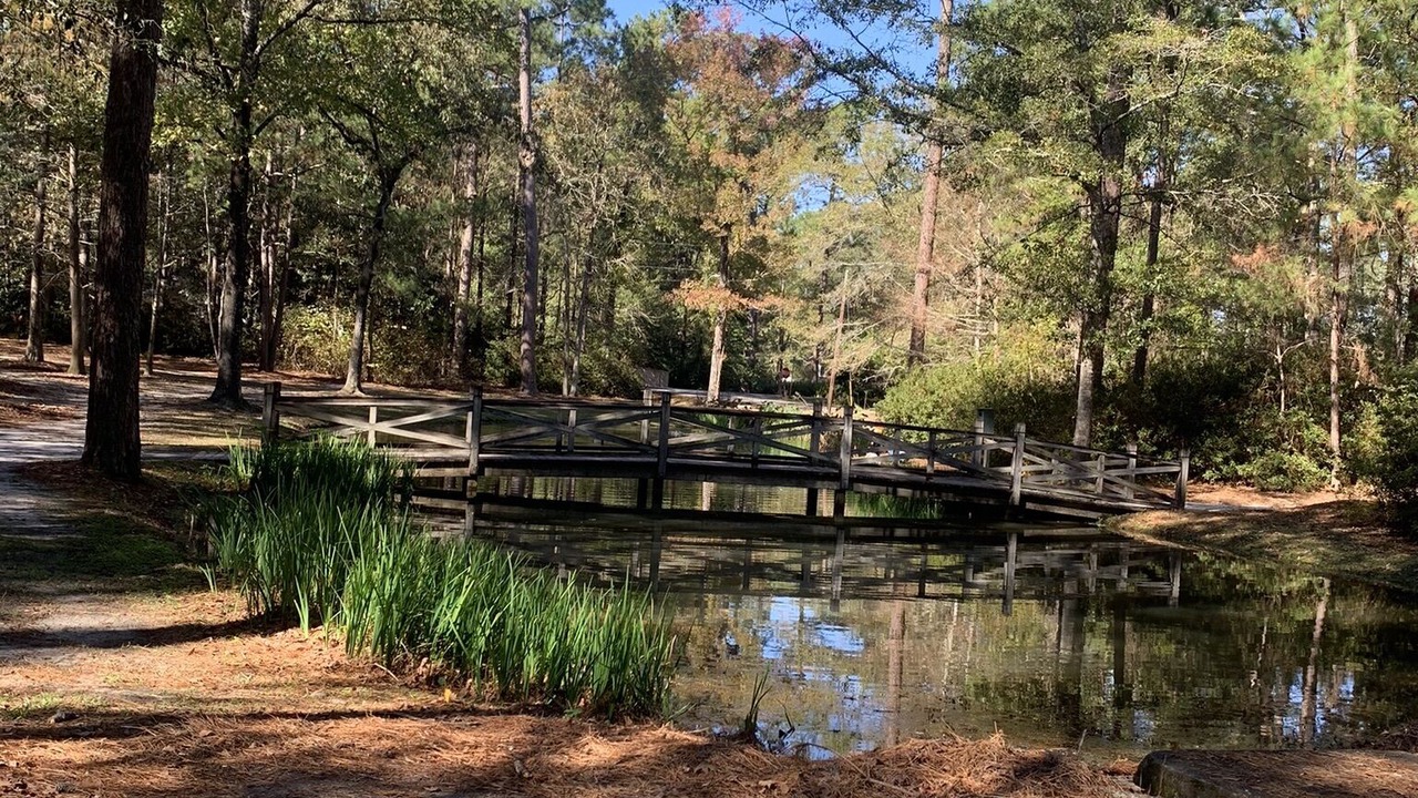 Photo of Outdoor in Summerville Historic District