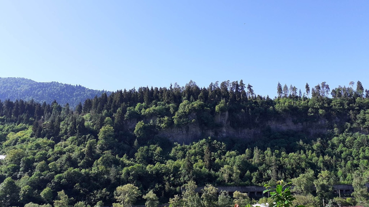 Photo of Outdoor in Borjomi
