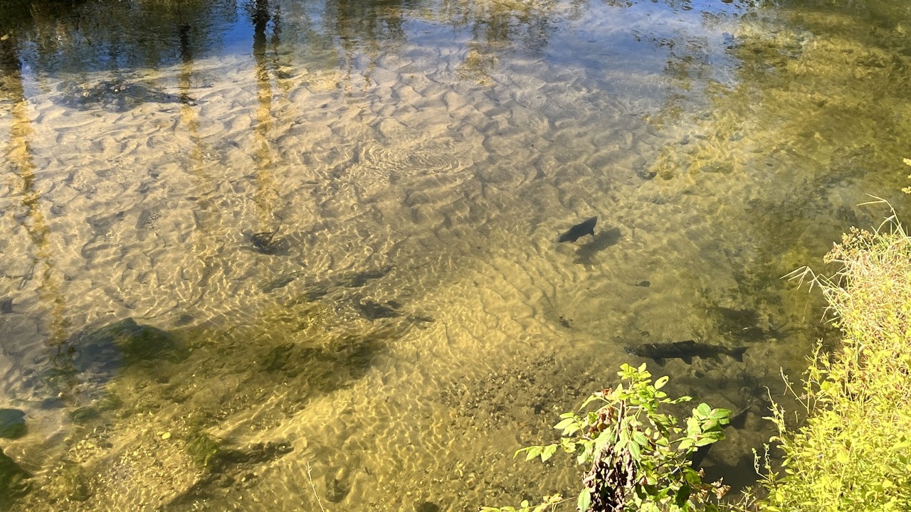 Photo of Others in Baldwin