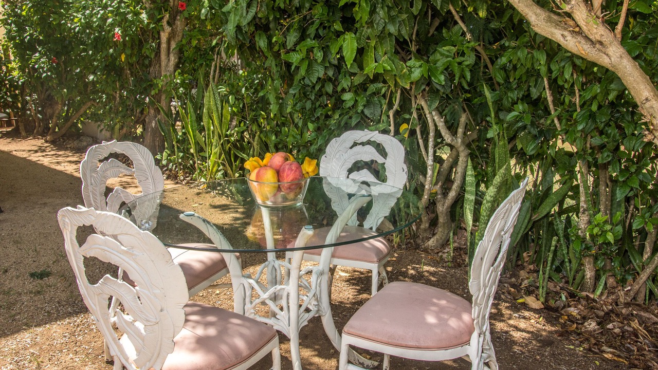 Photo of Outdoor in Esperanza