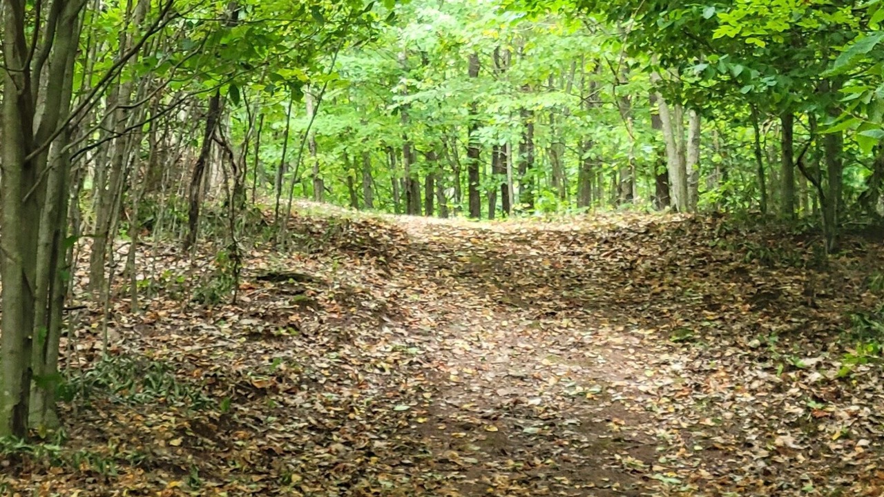 Photo of Others in Lairdsville