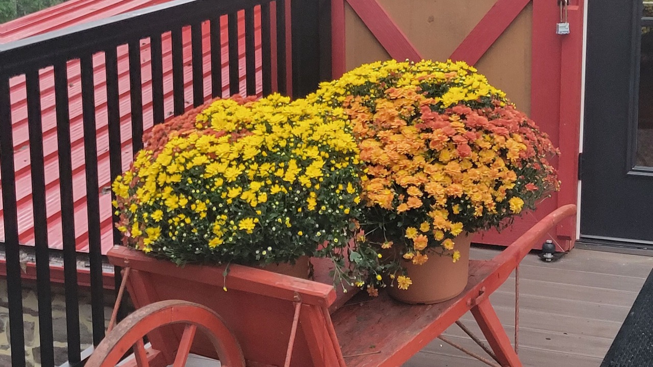 Photo of Outdoor in Lairdsville