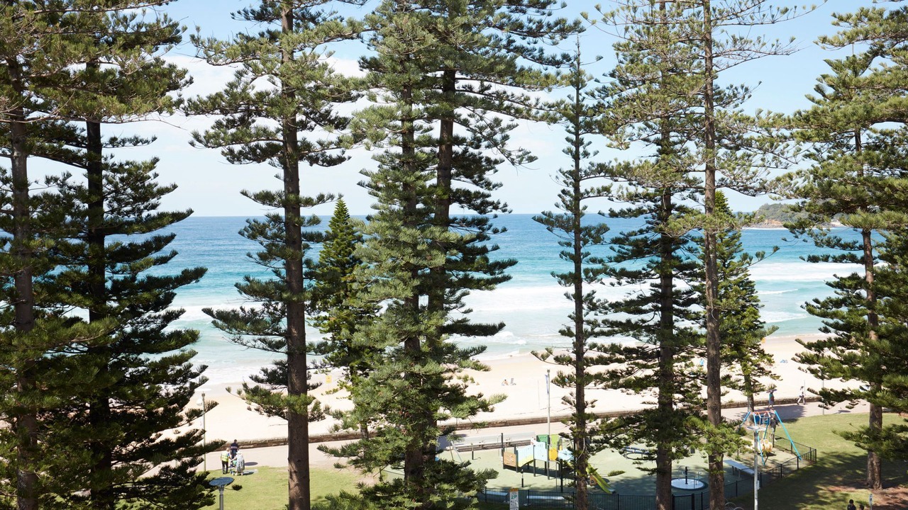 Photo of Others in Manly