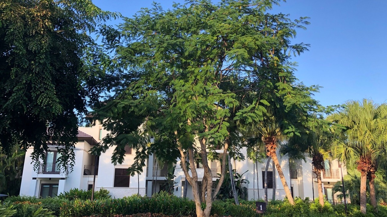 Photo of Outdoor in Herreras
