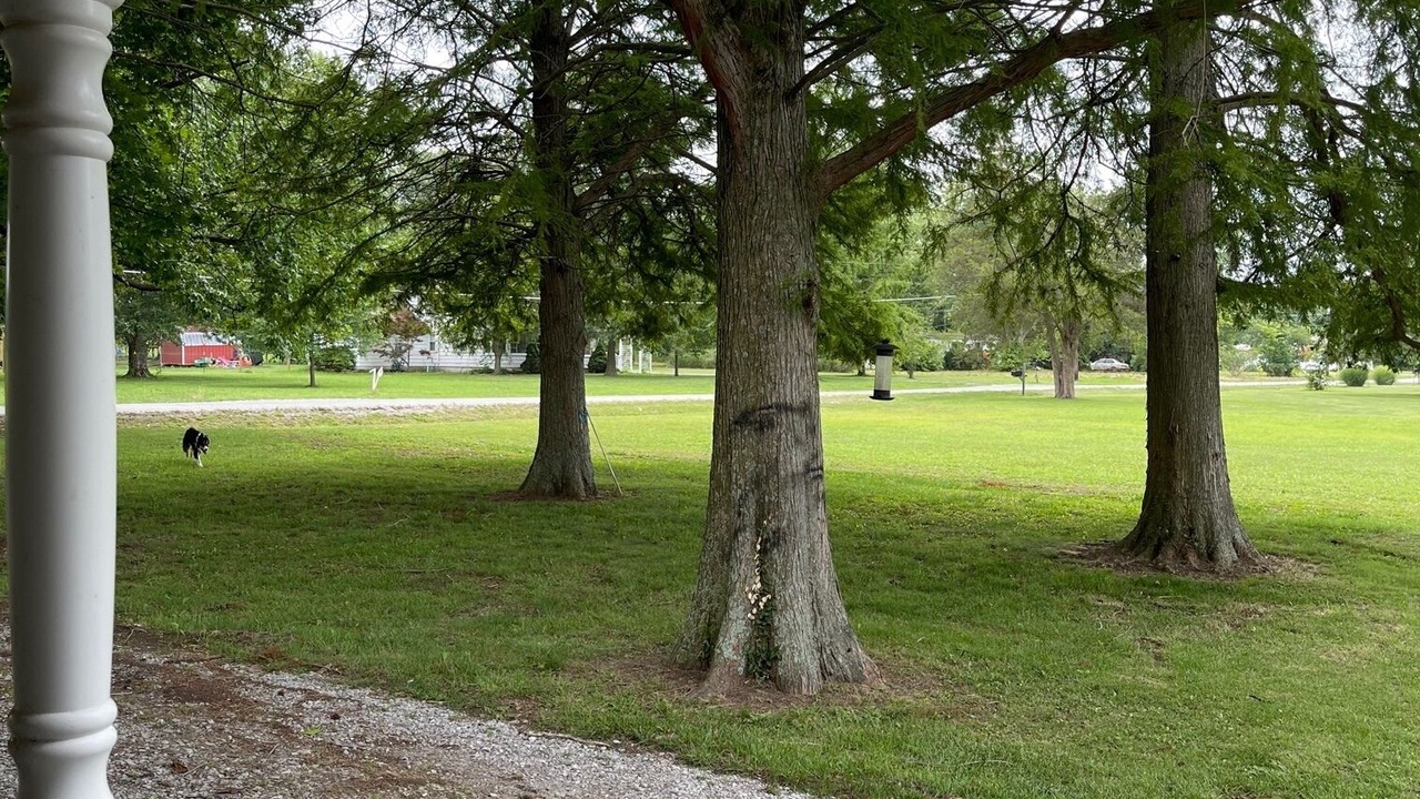 Photo of Outdoor in Benton