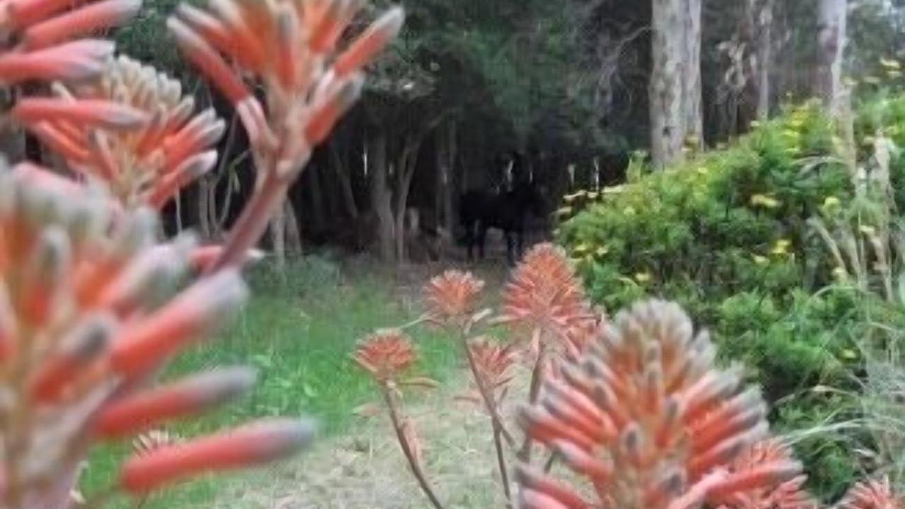 Photo of Outdoor in Colonia del Sacramento