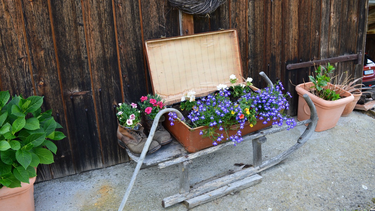 Photo of Outdoor in Frohnd