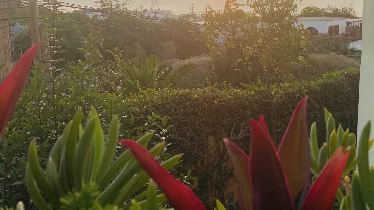 Photo of Outdoor in Tamariss