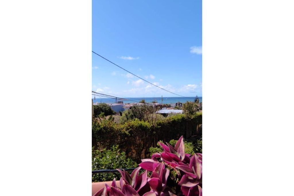 Photo of Outdoor in Tamariss