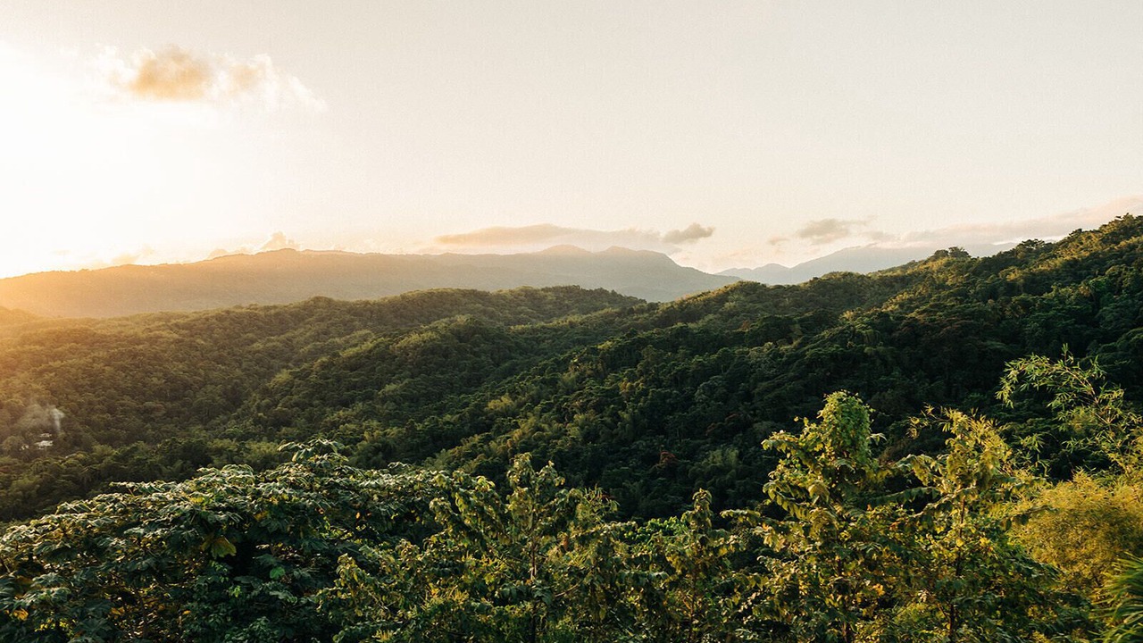 Photo of Outdoor in Port Antonio