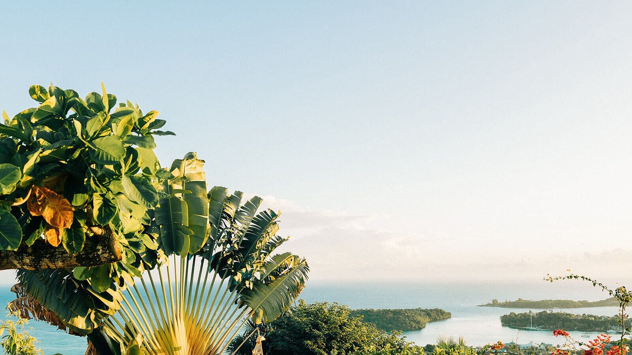 Photo of Outdoor in Port Antonio