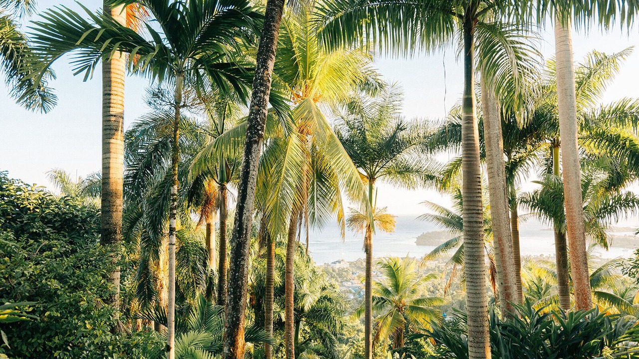 Photo of Outdoor in Port Antonio
