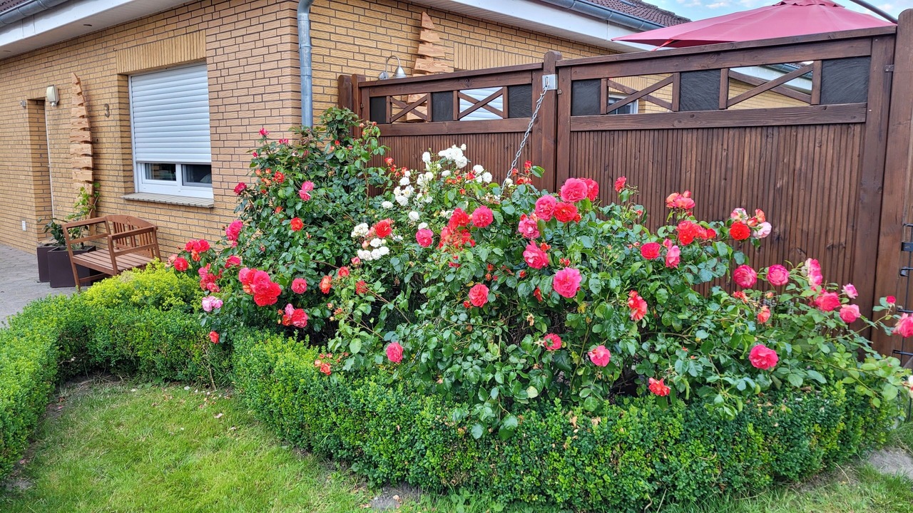 Photo of Outdoor in Freepsum