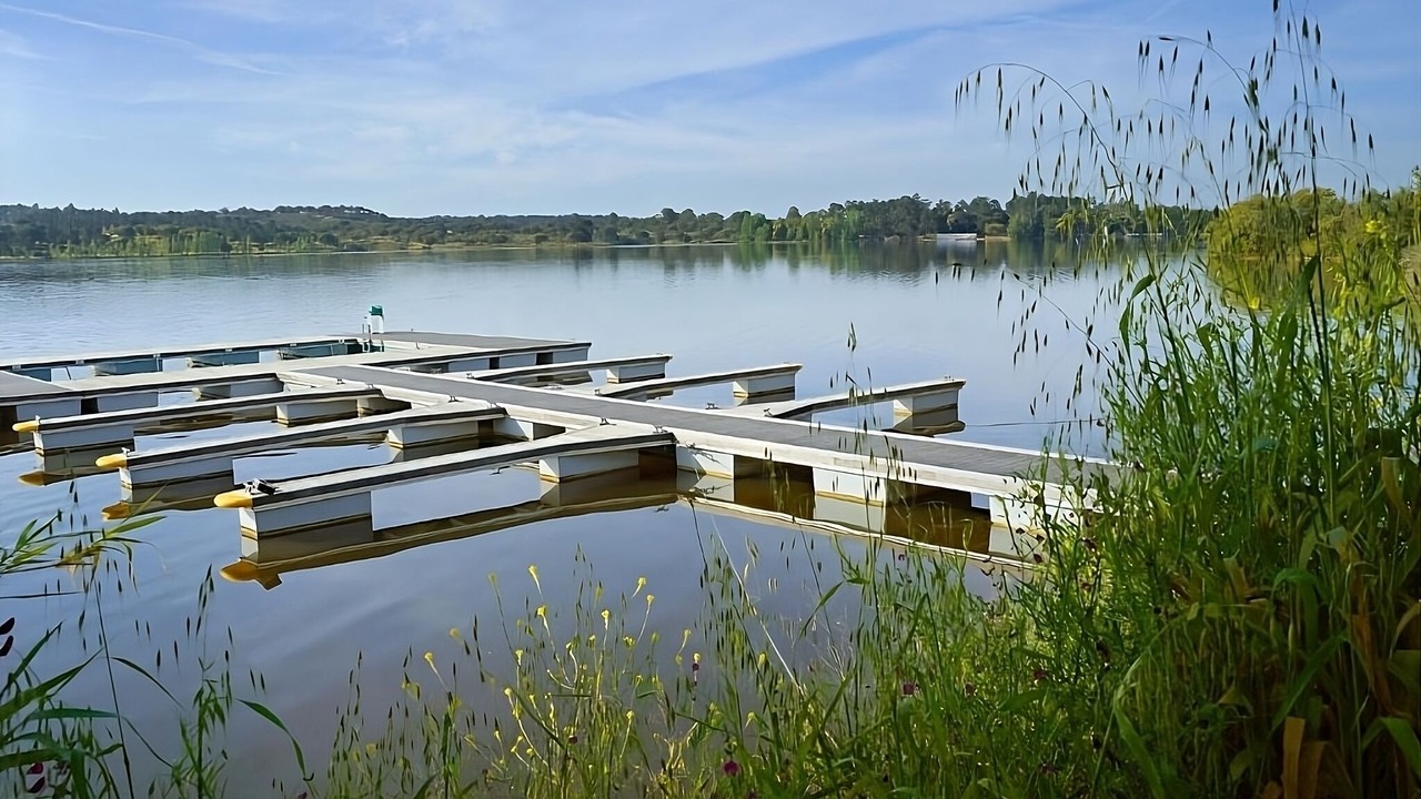 Photo of Others in Ponte de Sor
