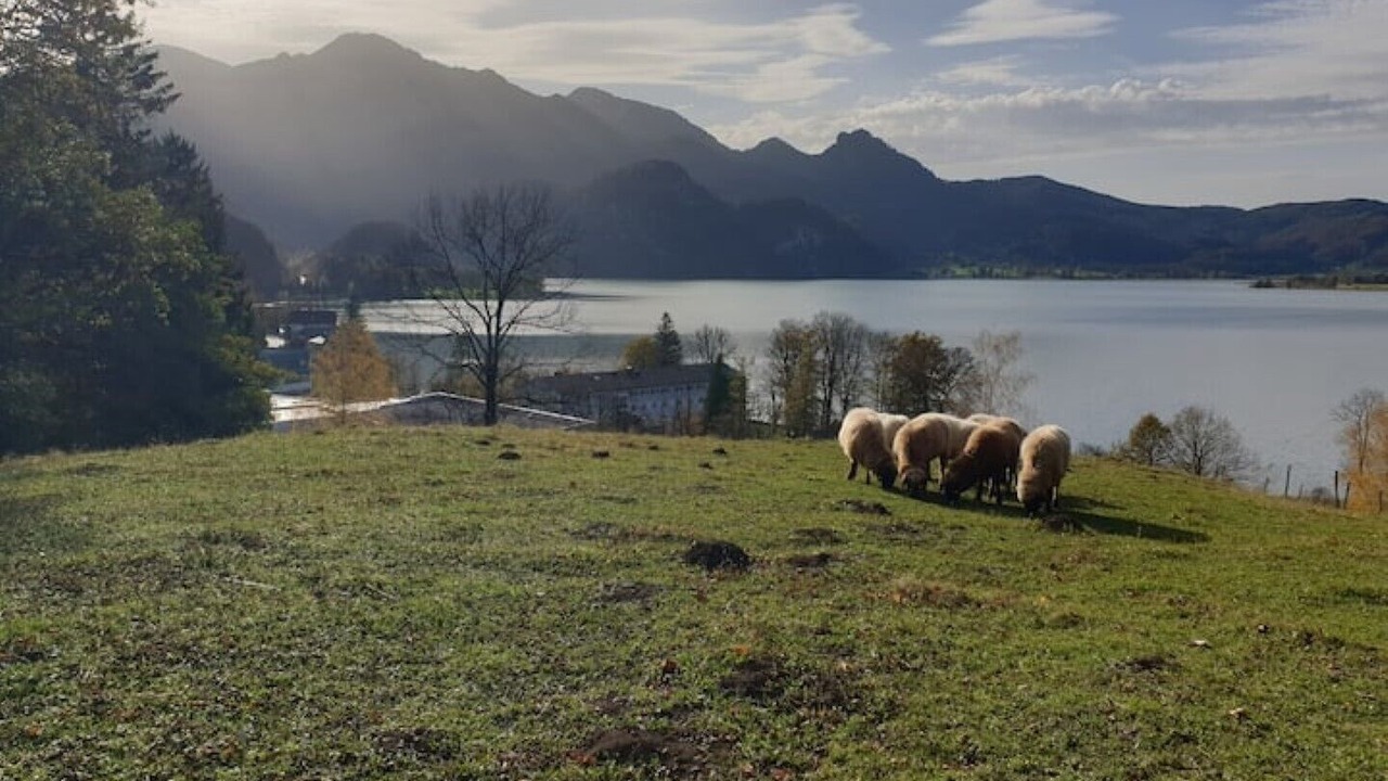 Photo of Outdoor in Kochel am See