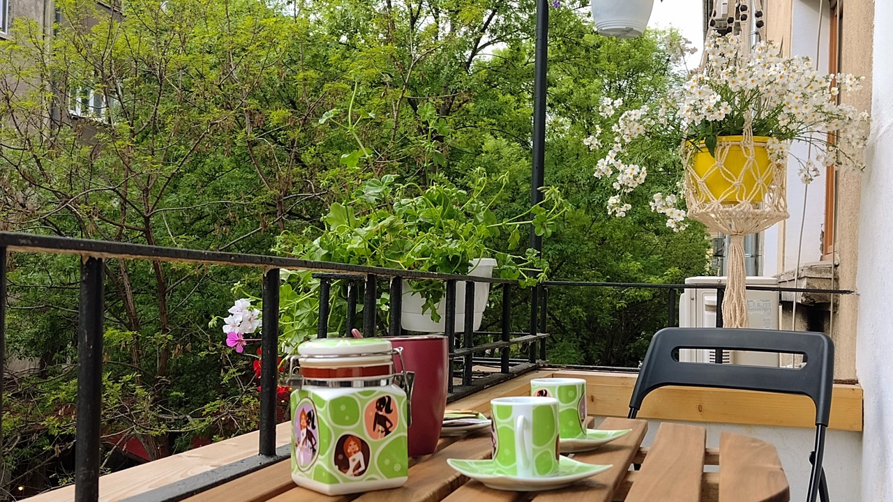 Photo of Outdoor in Oborishte