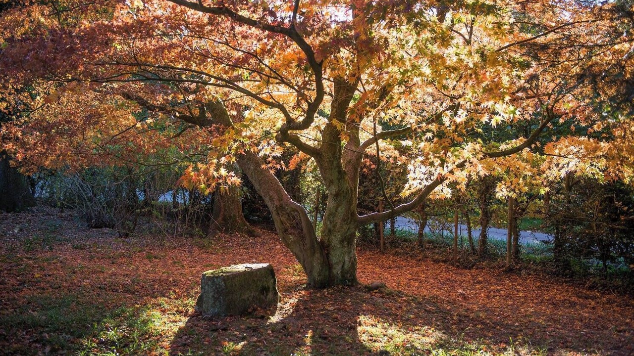 Photo of Others in Altenbeken