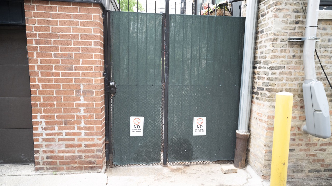 Photo of Outdoor in Lake View East