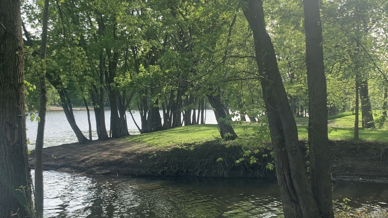 Photo of Outdoor in Walker