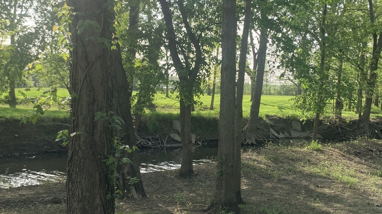 Photo of Outdoor in Walker