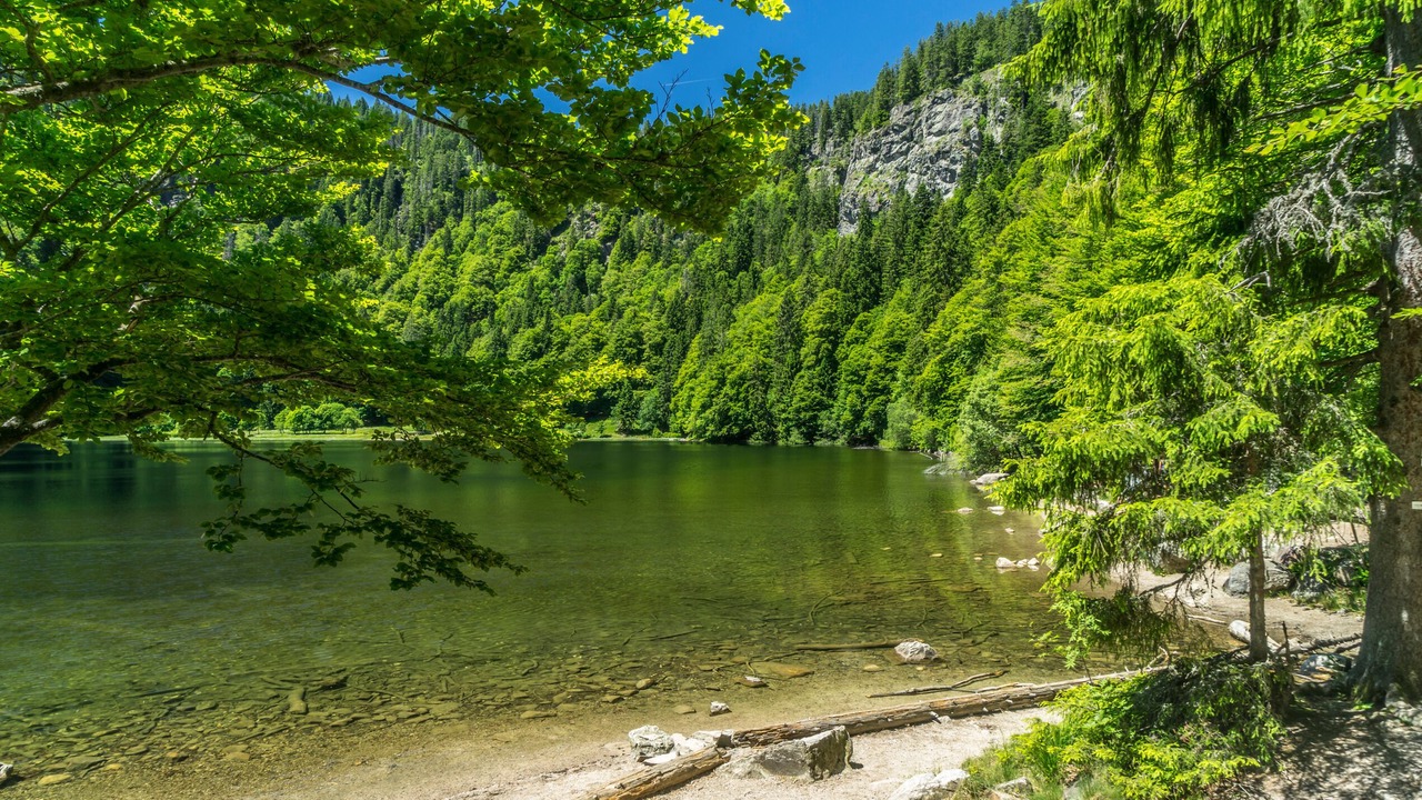 Photo of Others in Todtnau