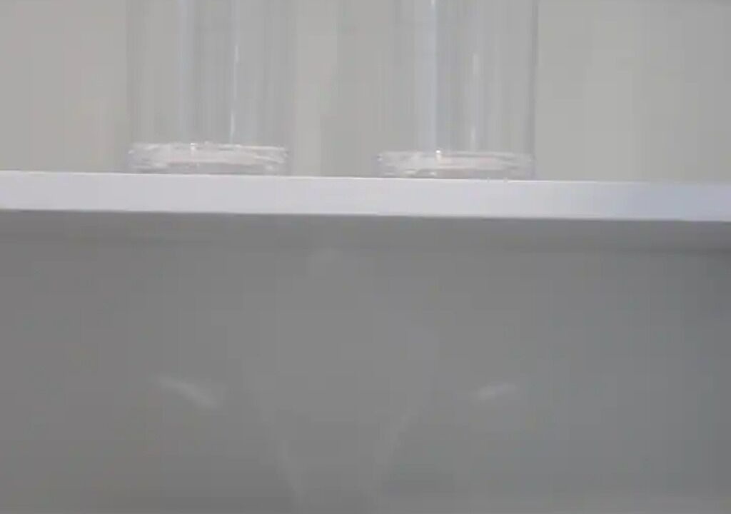 Photo of Bathroom in Albany