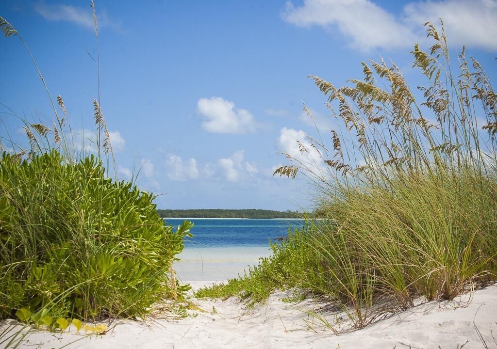 Photo of Others in Winding Bay