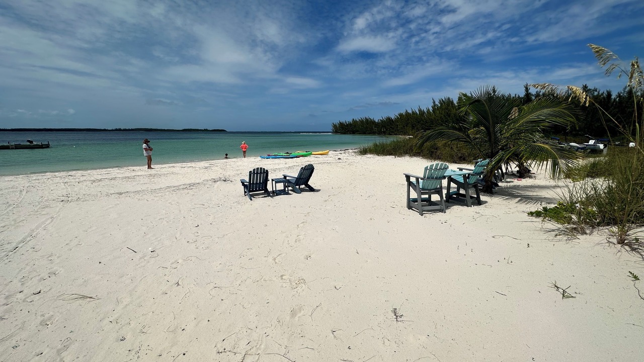 Photo of Others in Winding Bay