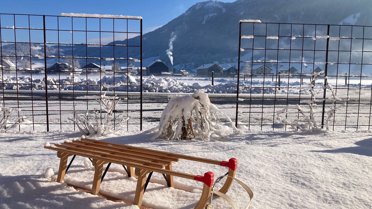 Photo of Outdoor in Andelsbuch