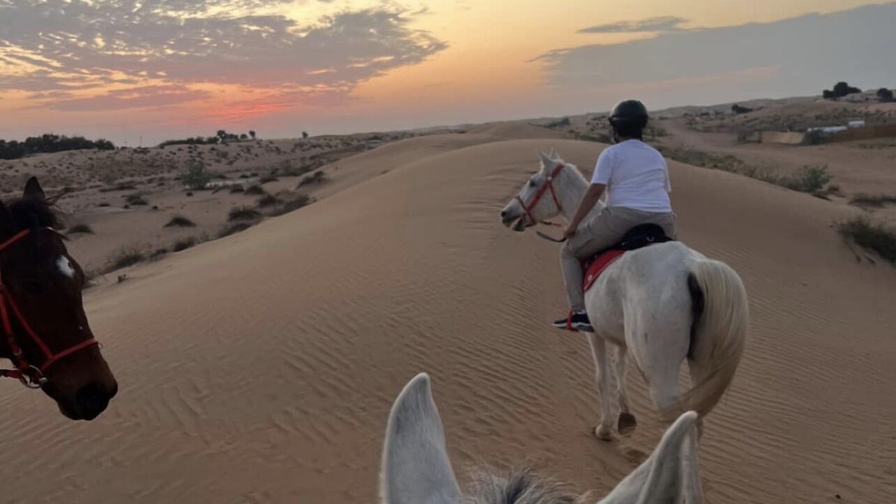 Photo of Others in Sharjah