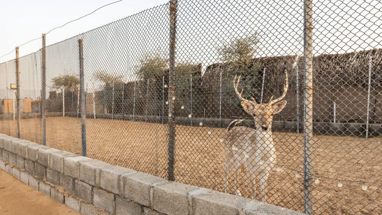 Photo of Outdoor in Sharjah