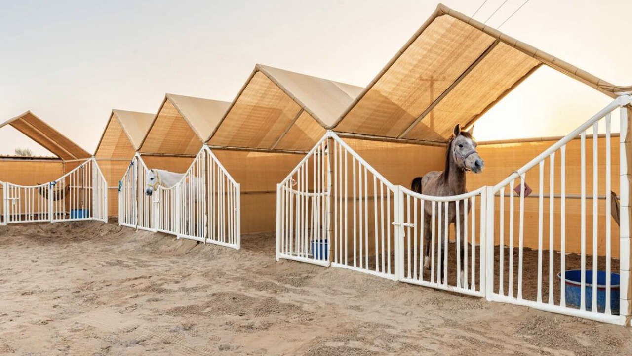 Photo of Outdoor in Sharjah