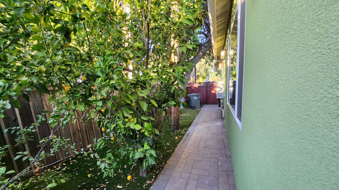 Photo of Outdoor in Redwood City