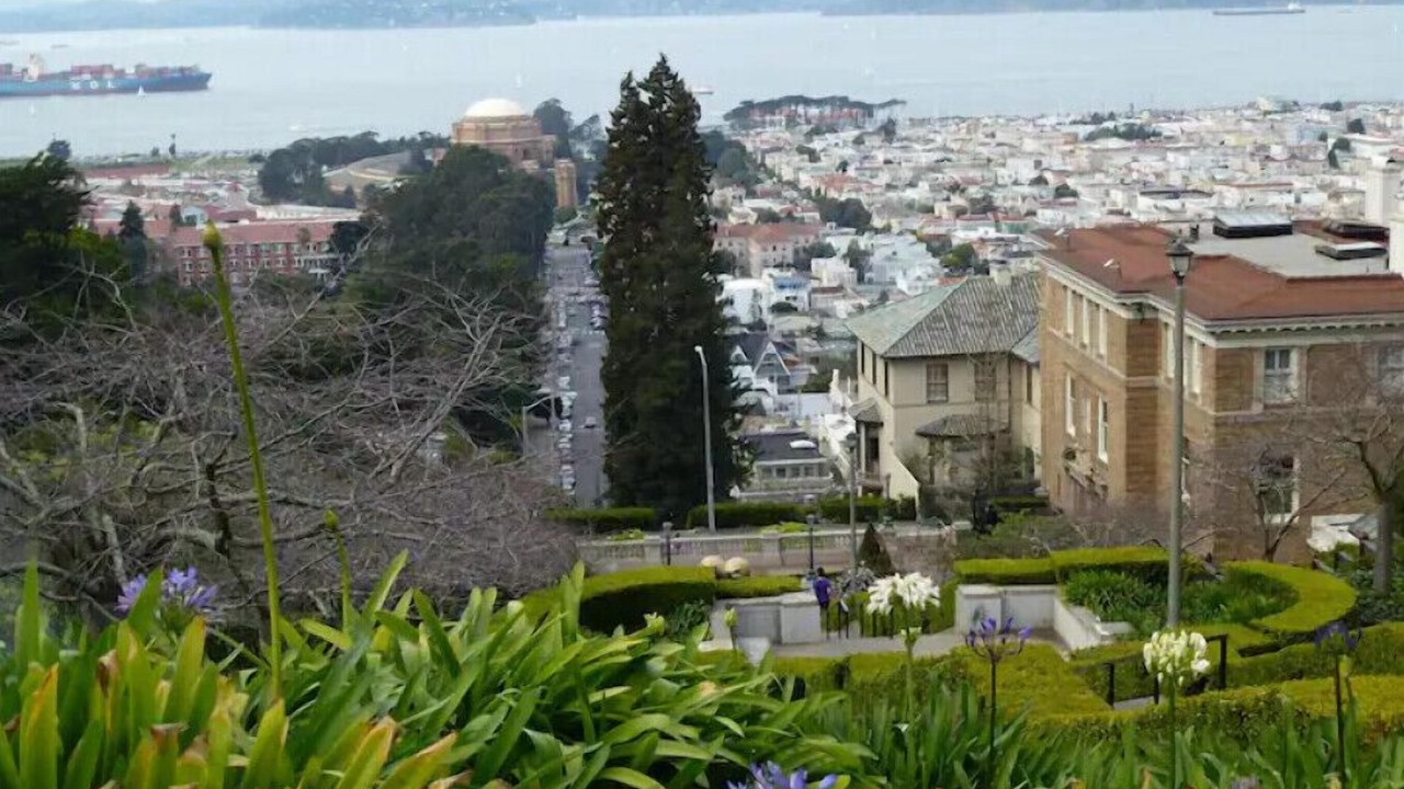 Photo of Others in Presidio Heights