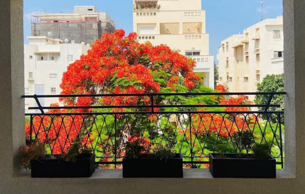 Photo of Outdoor in Rehovot