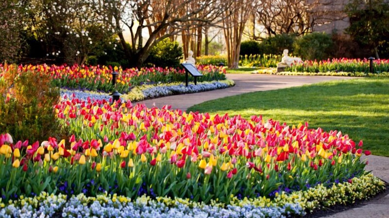 Photo of Outdoor in Brentwood