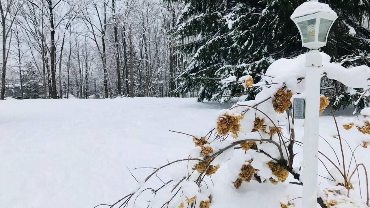 Photo of Others in Lac-Brome