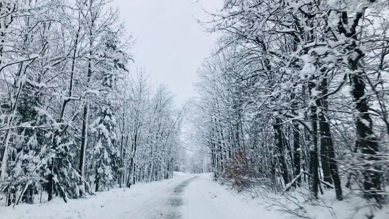 Photo of Others in Lac-Brome