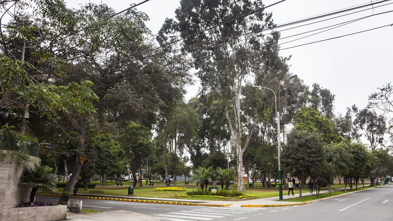 Photo of Others in Santiago de Surco