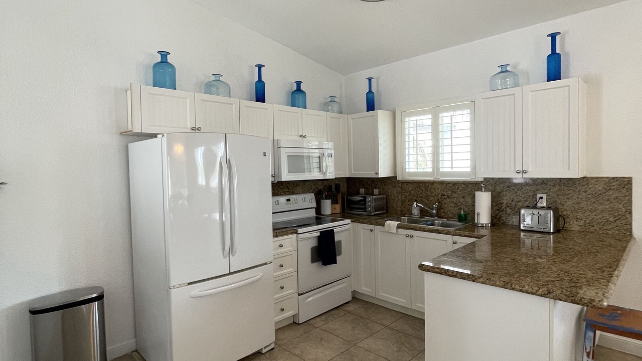 Photo of Kitchen in Alice Town
