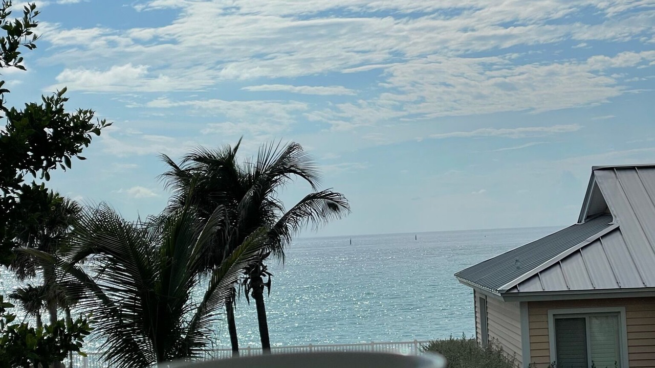 Photo of Outdoor in Alice Town