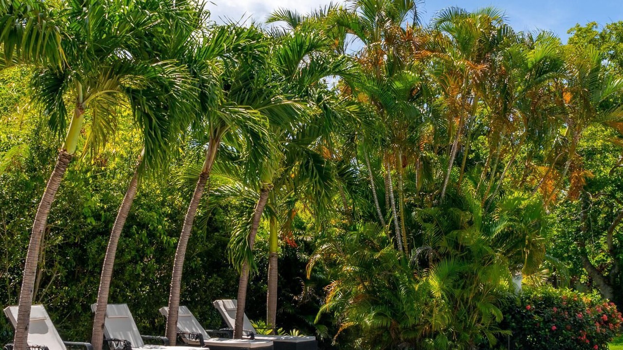 Photo of Outdoor in Halcyon Heights