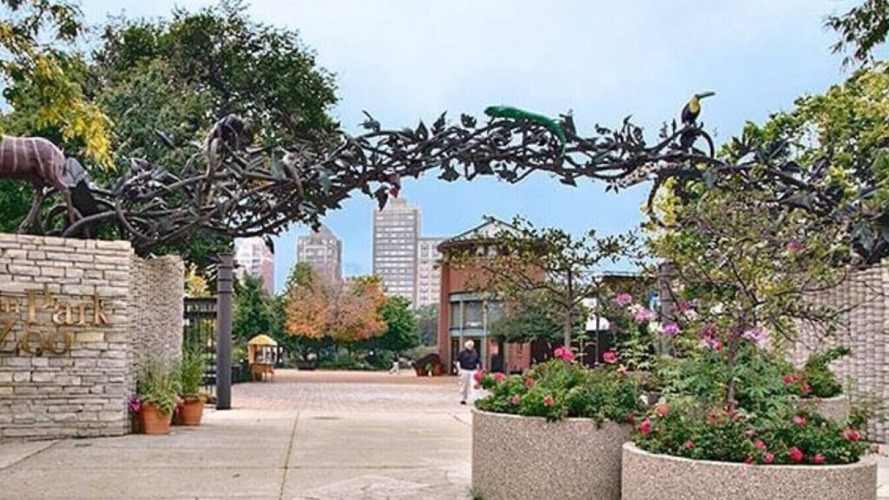 Photo of Others in Sheffield and DePaul