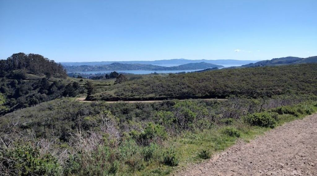 Photo of Others in Tamalpais-Homestead Valley