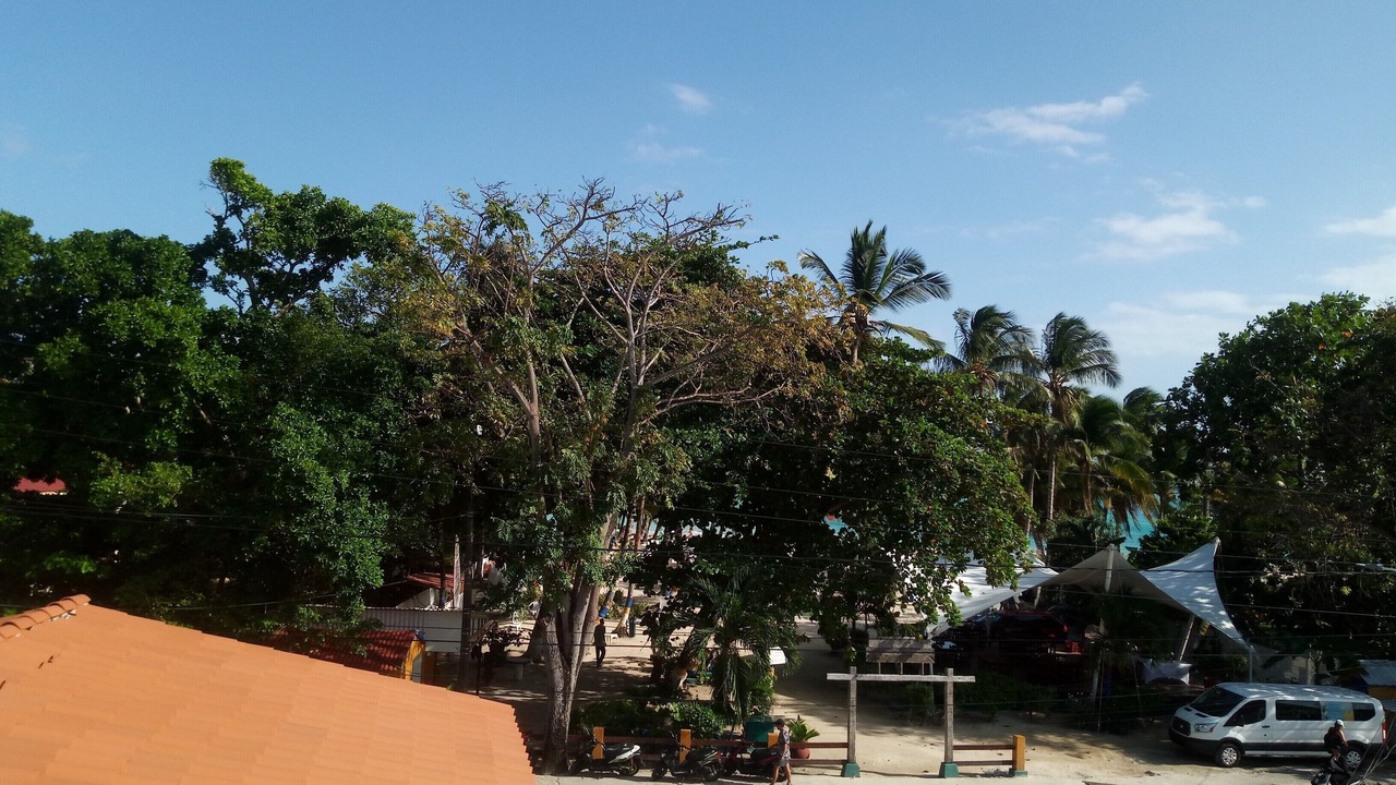 Photo of Outdoor in San Luis
