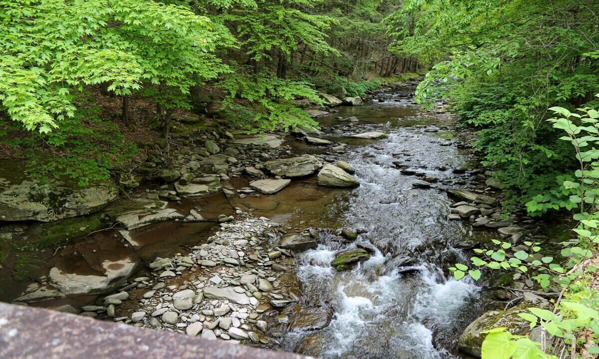 Photo of Outdoor in Hankins