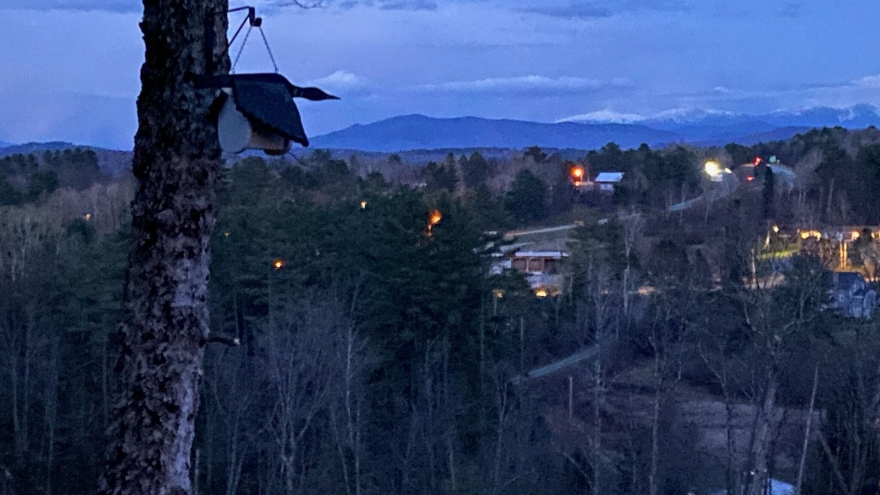 Photo of Others in Littleton